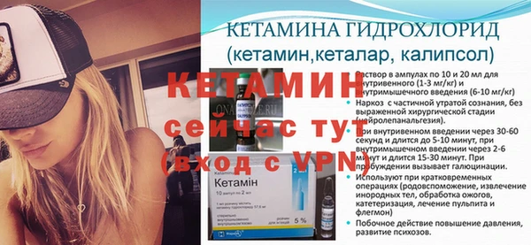 стаф Балахна