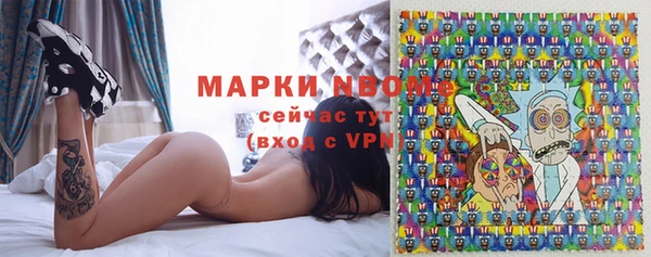 стаф Балахна