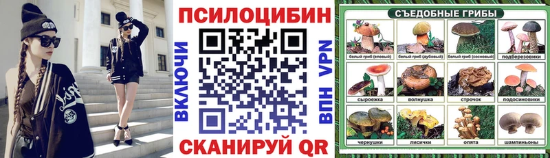 Псилоцибиновые грибы мицелий  купить   OMG рабочий сайт  Соль-Илецк 